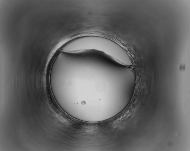X0000099510200200806121446