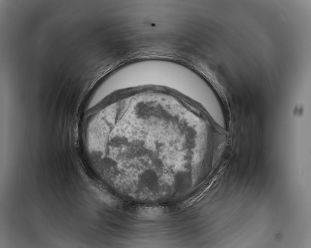 X0000099510202200806121446