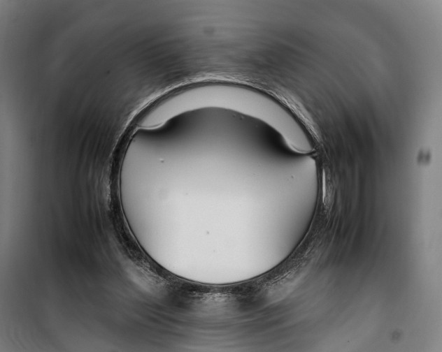X0000099510204200806121446