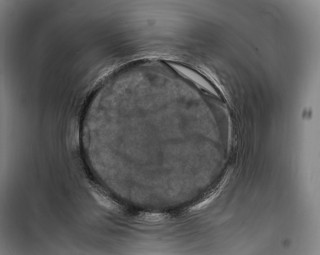 X0000099510205200806121446