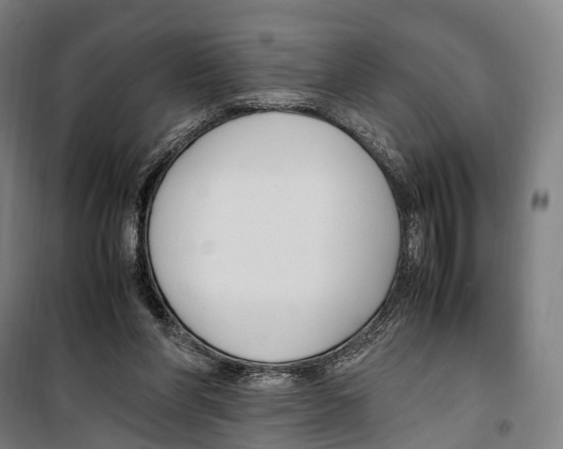 X0000099510206200806121446