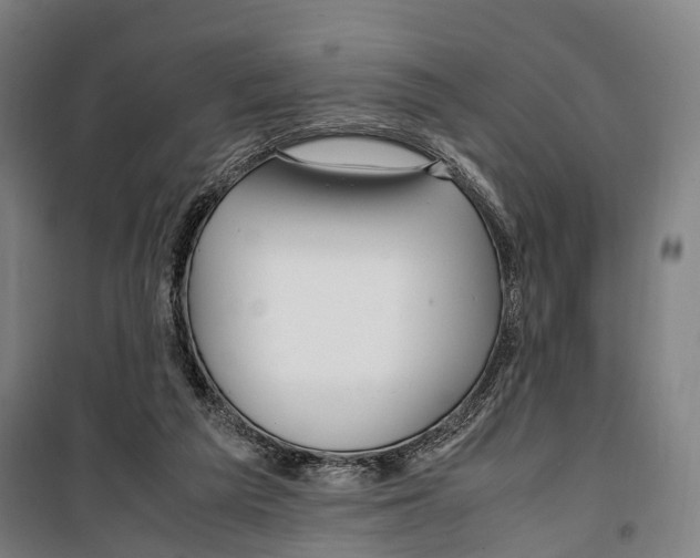 X0000099510209200806121446