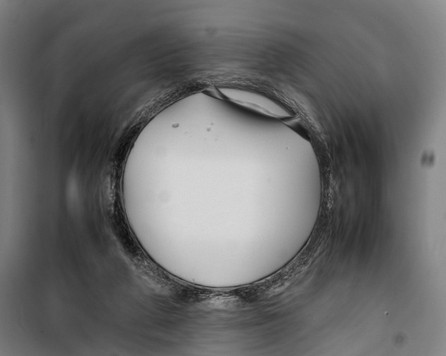 X0000099510210200806121446