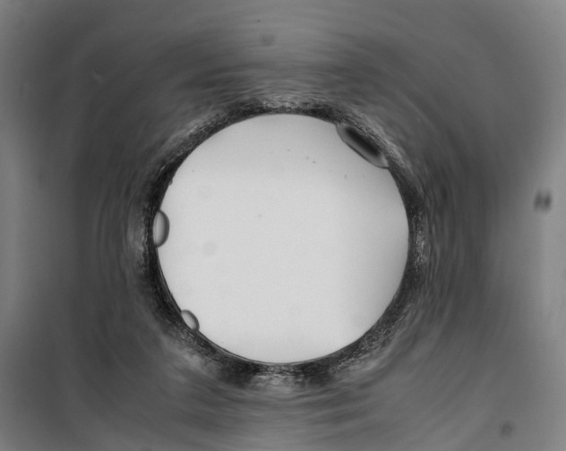X0000099510211200806121446