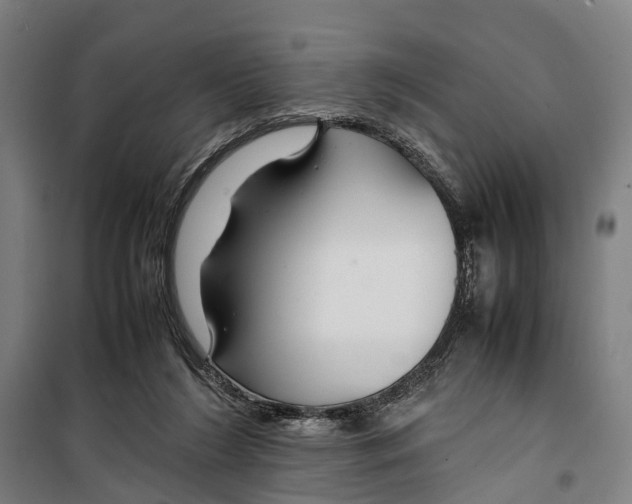 X0000099510212200806121446