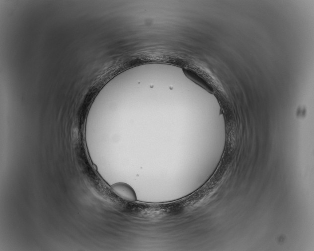 X0000099510213200806121446