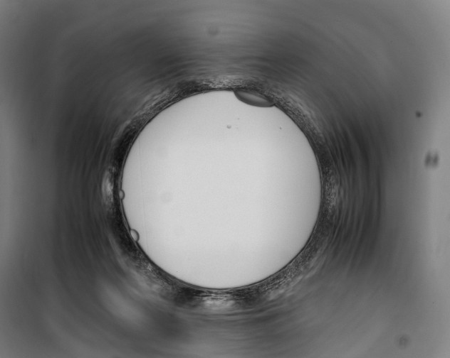 X0000099510214200806121446