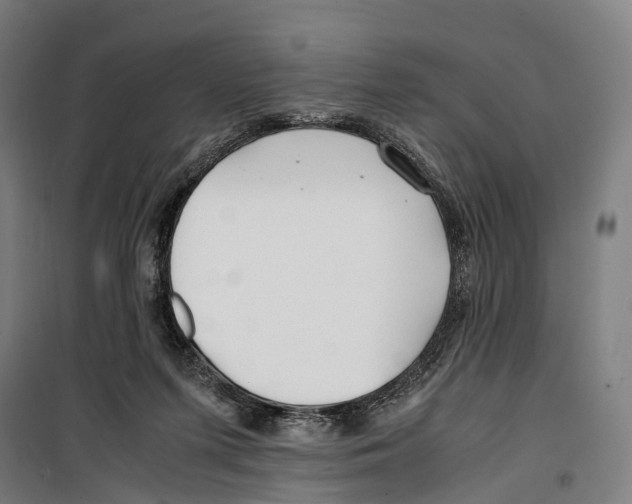 X0000099510215200806121446