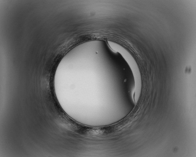 X0000099510217200806121446