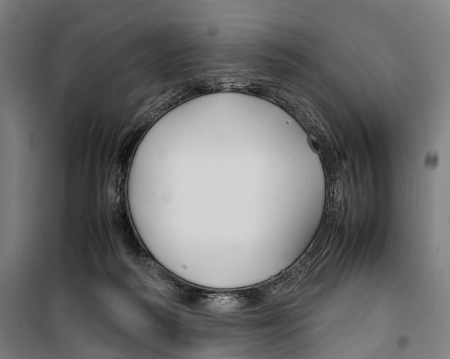 X0000099510218200806121446