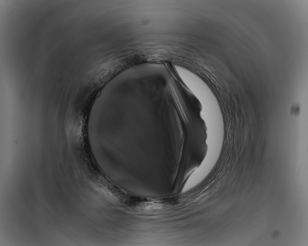 X0000099510219200806121446