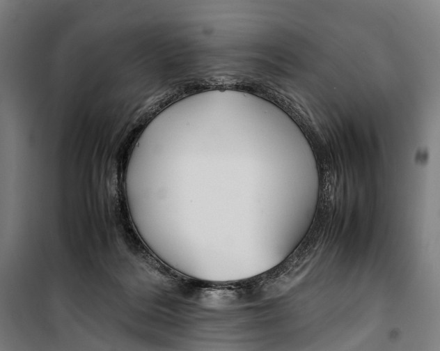 X0000099510220200806121446