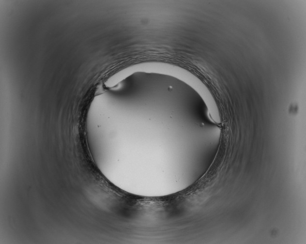 X0000099510221200806121446