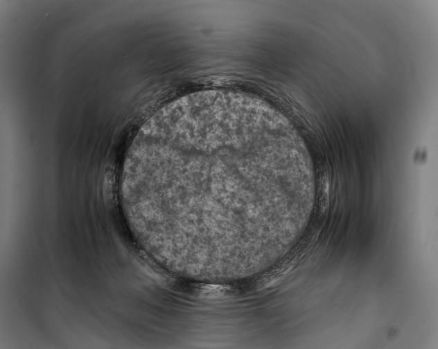 X0000099510222200806121446