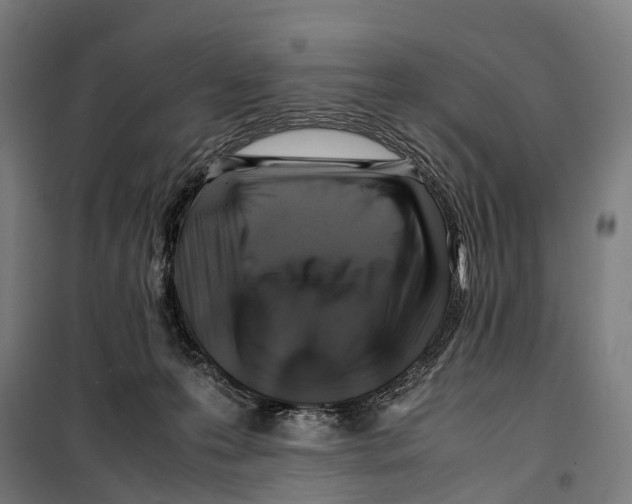 X0000099510223200806121446