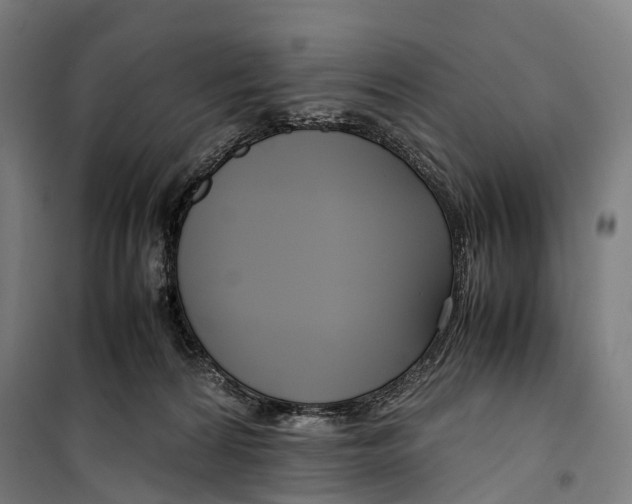 X0000099510224200806121446
