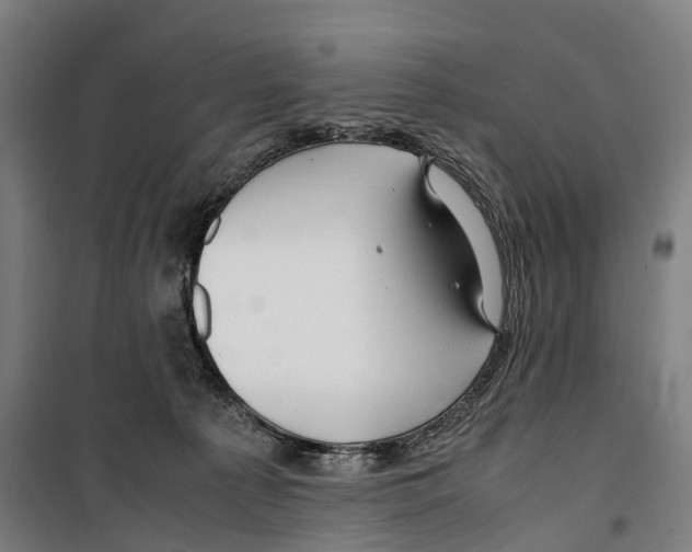 X0000099510225200806121446