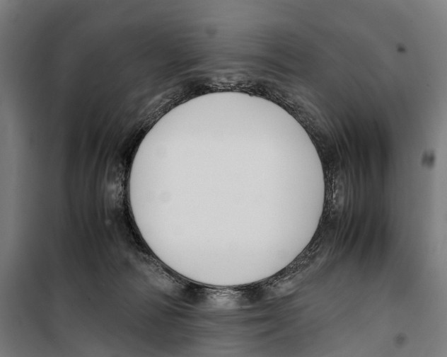 X0000099510226200806121446
