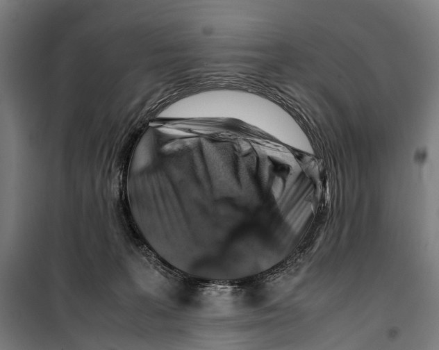 X0000099510227200806121446