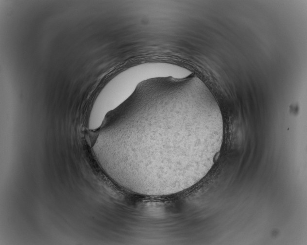 X0000099510228200806121446