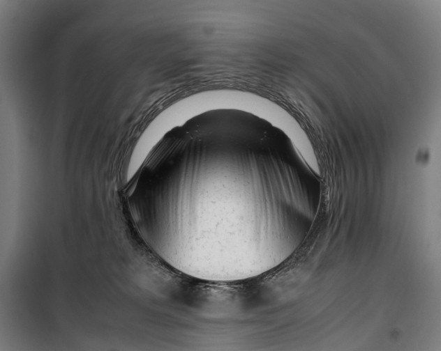 X0000099510229200806121446