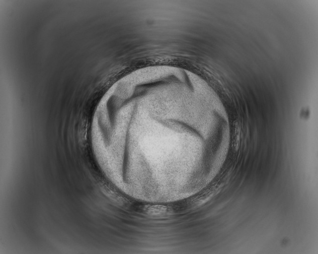 X0000099510230200806121446