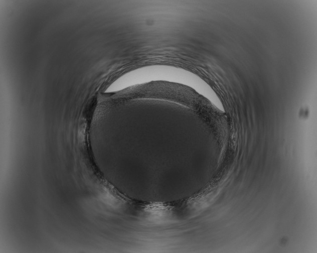 X0000099510231200806121446