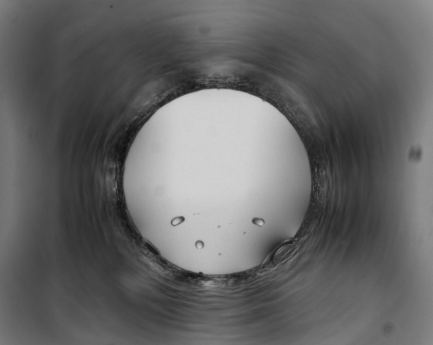 X0000099510232200806121446