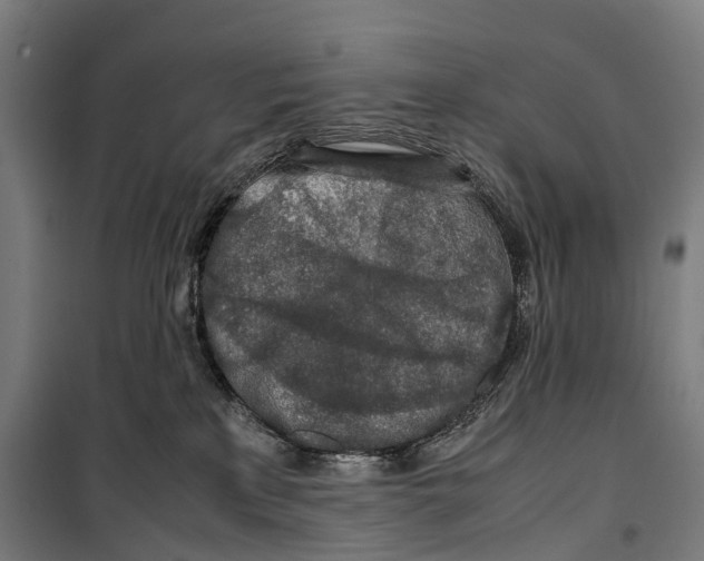 X0000099510233200806121446