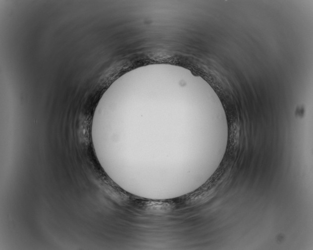 X0000099510234200806121446