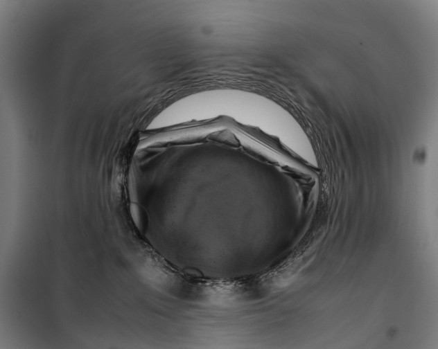 X0000099510235200806121446