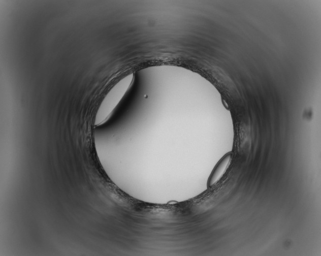 X0000099510236200806121446
