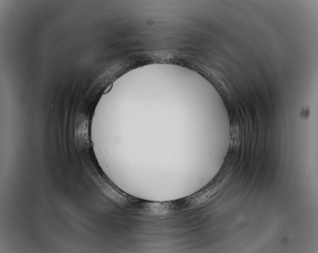 X0000099510238200806121446