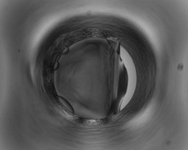 X0000099510239200806121446