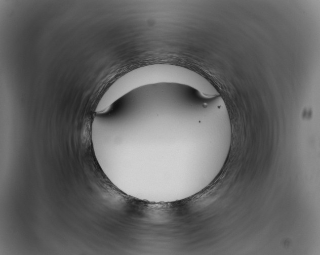 X0000099510240200806121446