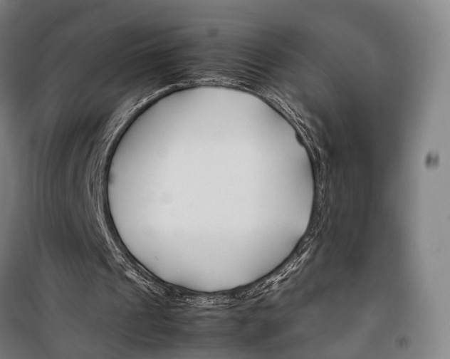 X0000099510241200806121445
