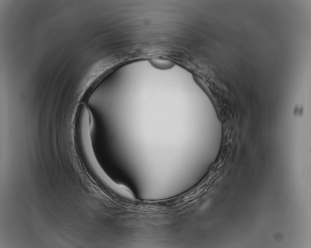 X0000099510242200806121445