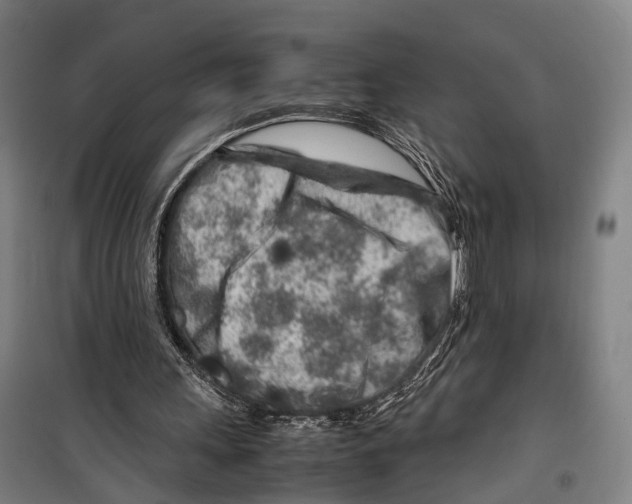 X0000099510243200806121445