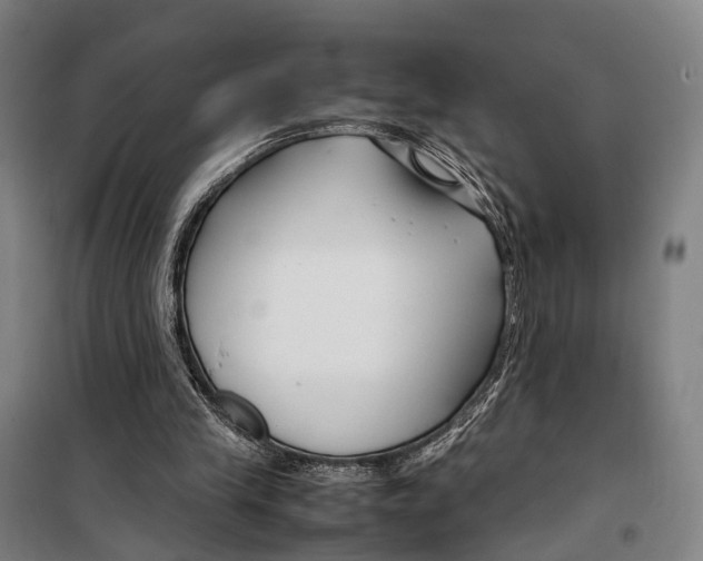 X0000099510245200806121445