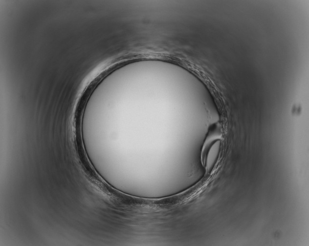X0000099510246200806121445