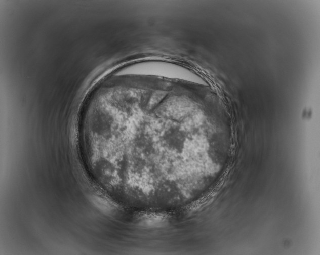 X0000099510247200806121445