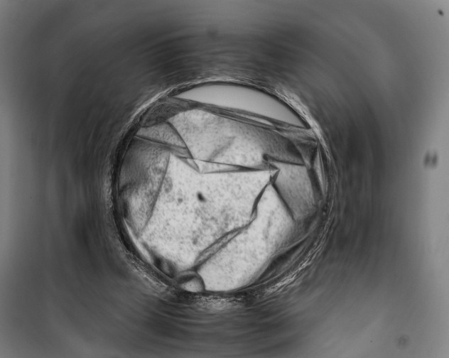 X0000099510249200806121445