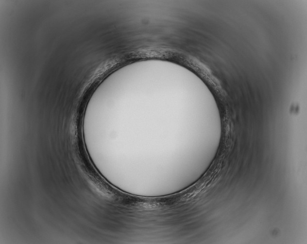 X0000099510250200806121445