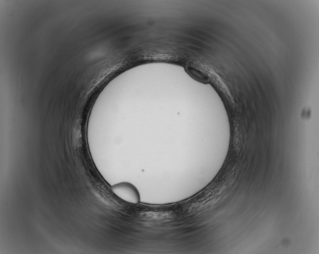X0000099510251200806121445