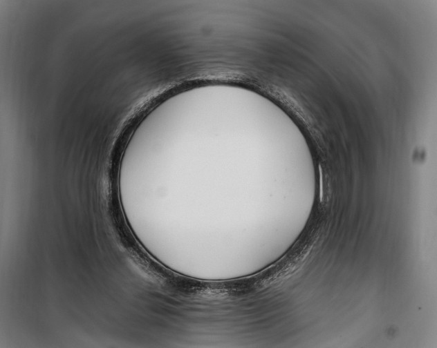 X0000099510252200806121445