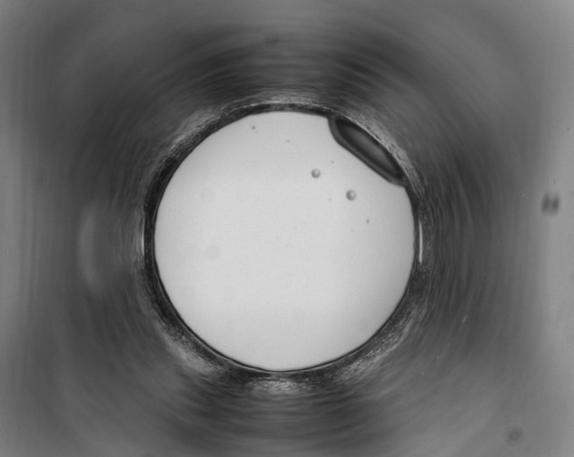 X0000099510253200806121445