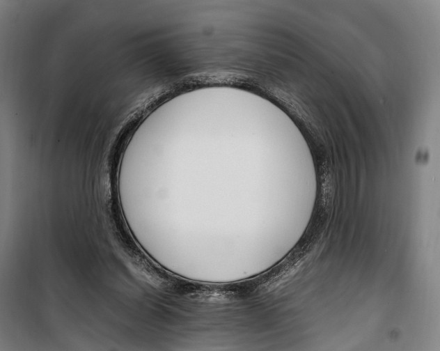 X0000099510254200806121445