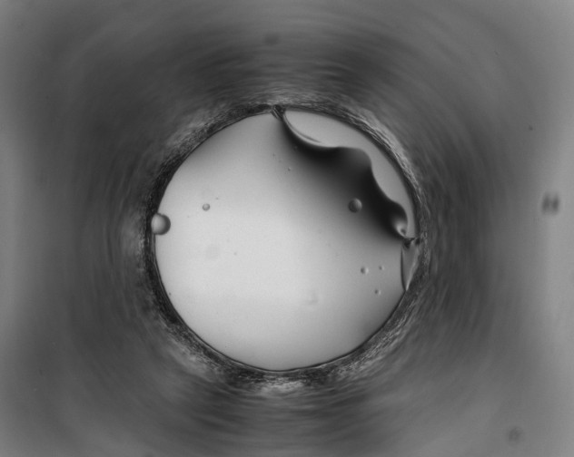 X0000099510257200806121445