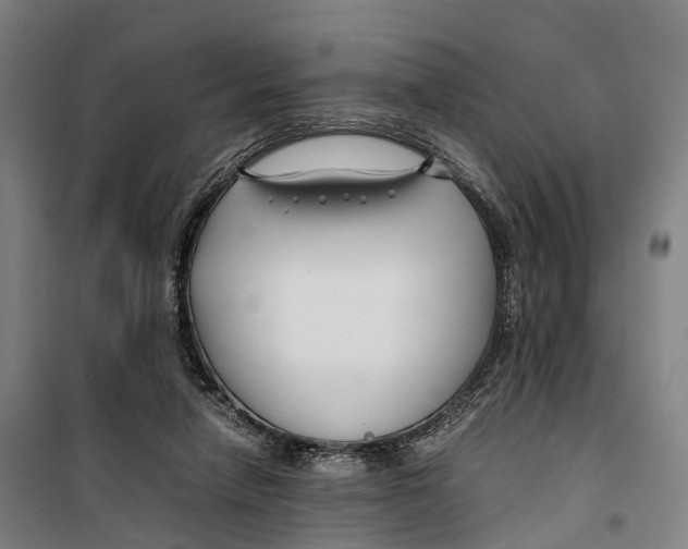 X0000099510258200806121445