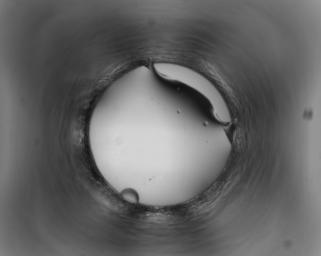 X0000099510259200806121445